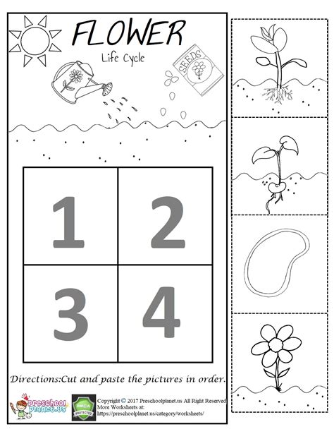 The 5 Best Worksheets For Flowers Preschool Theme