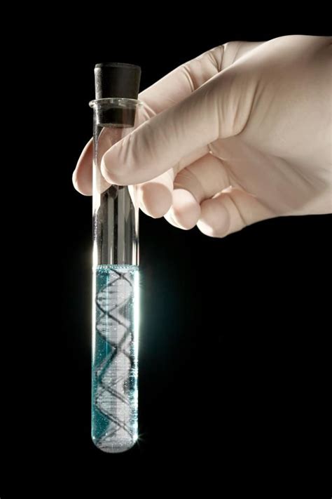What Does Ethanol Do In A Dna Extraction Sciencing The Best Porn Website