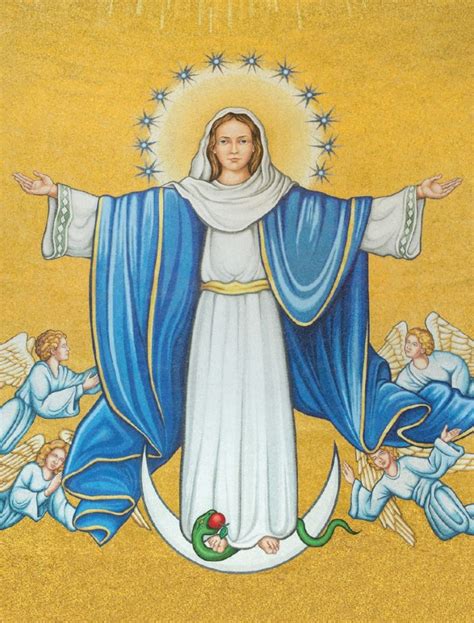 Celebrating The Basilicas Patronal Feast The Immaculate Conception National Shrine Of The