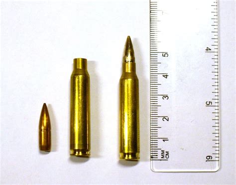 Ultimate Guide To Bullets Caliber And Cartridges 2022