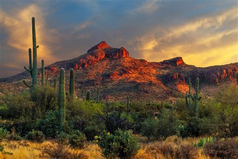 Arizona Photography Gallery Fine Art Landscape Photos Photos By