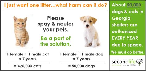 Whether you've recently adopted a pet or you're considering doing so, one of the most important health decisions you'll make is to spay or neuter your cat or dog. Low-Cost Spay/Neuter