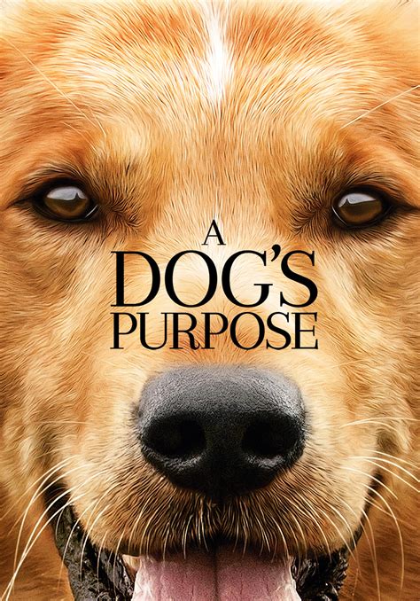 A Dogs Purpose 2017 Kaleidescape Movie Store