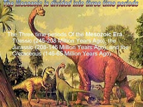 About Mesozoic The Mesozoic Era Was The Time