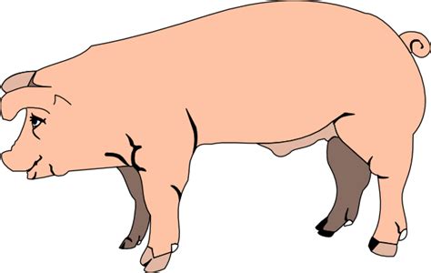 Pig Standing Clip Art At Vector Clip Art Online Royalty