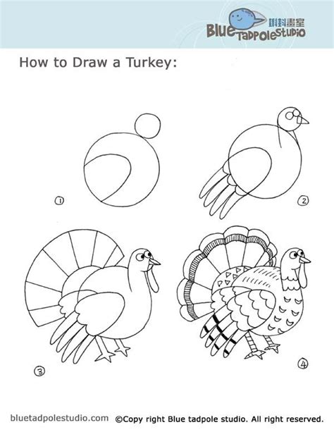 Blue Tadpole Studio How To Draw Thanksgiving Drawings Turkey