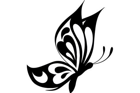 Butterfly Vector at GetDrawings | Free download