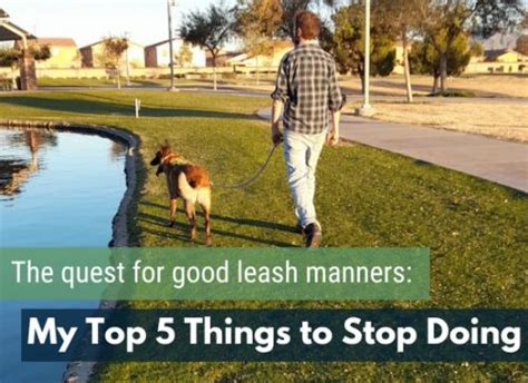 Is Your Dogs Leash Pulling Driving You Crazy Here Are 5 Things You