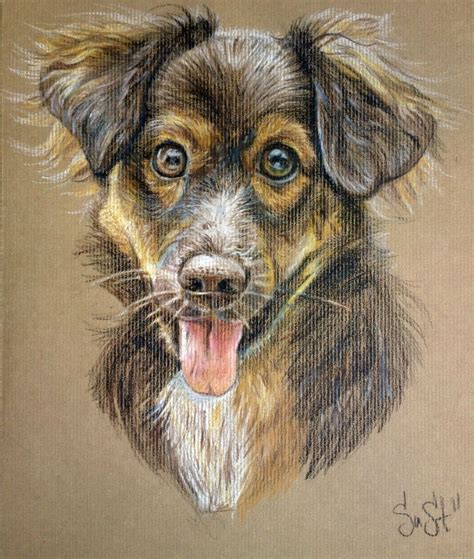 A Dog Smile Pencil Drawing By Suzana Stanoeva Artfinder