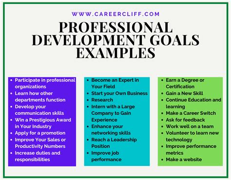Personal Business Development Goals Examples Charles Leal S Template