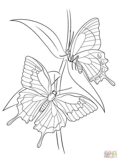 Swallowtail Butterfly Coloring Page Coloring Pages