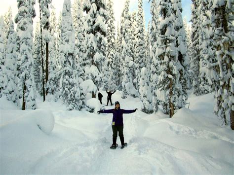 10 Winter Activities You Must Do In Canada