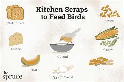 What Kitchen Scraps Can Birds Eat