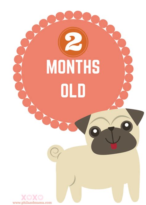 The tool has a smart download logic accelerator that features intelligent dynamic file segmentation and safe multipart downloading technology to accelerate your downloads. Super Cute and Free Printable Animal Themed Baby Monthly ...