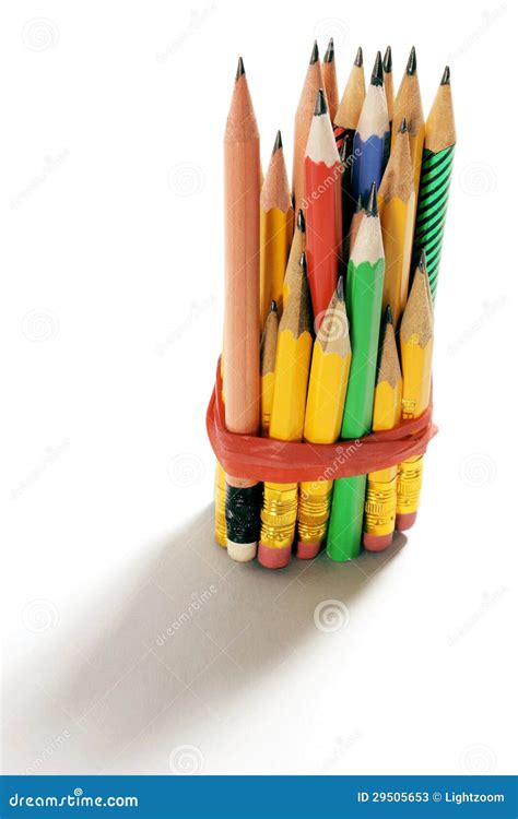 Bundle Of Short Pencils Stock Image Image Of Pencils 29505653