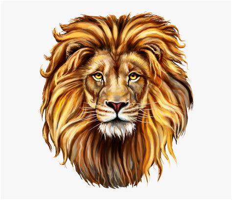 Lion Clip Art Png Image Free Download Searchpng Draw A Lions Mane Transparent Png