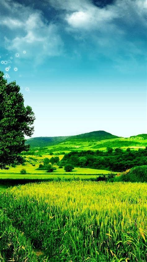 Wallpaper Android Nature Green Best Mobile Wallpaper Iphone