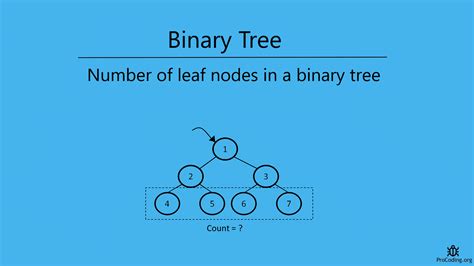 Number Of Leaf Nodes In A Binary Tree Procoding