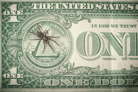 Spider On Pyramidal Banknotes Of One Us Dollar Stock Photo Image Of