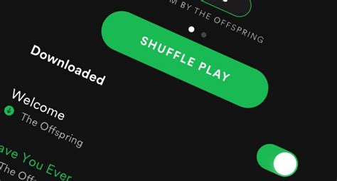 The order of songs due to play is now mixed. Reasons Why Spotify Shuffle Not Random and How to Fix It