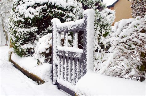 Snow And Garden Gate Free Stock Photo Public Domain Pictures