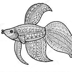 Fische Ausmalbilder für Erwachsene kostenlos zum Ausdrucken Ausmalen für erwachsene ist ein neuer trend zum stressabbau, der aus den usa kommt, aber schon weltweit verbreitet ist.