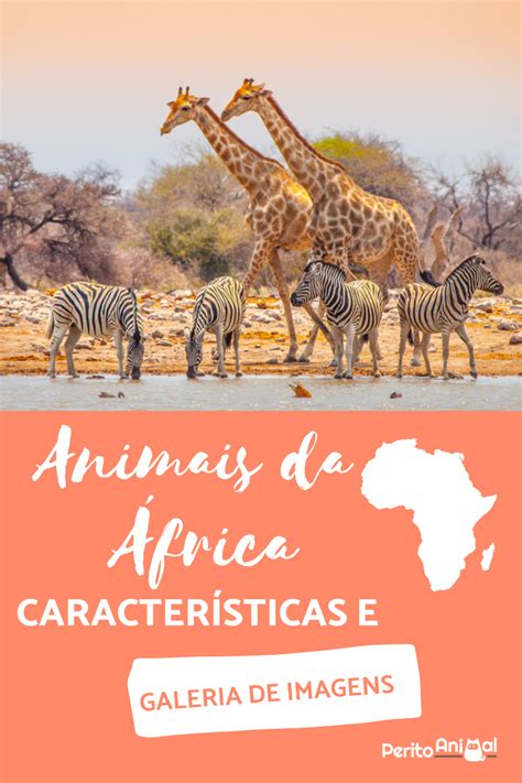 A áfrica Apresenta Grande Diversidade étnica Isso Significa Dizer