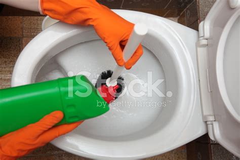 Gloved Hand Cleaning Toilet Bowl Using Brush Stock Photo Royalty Free