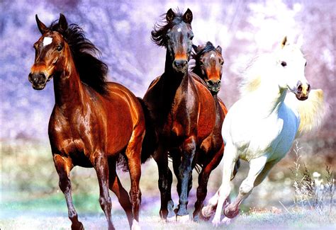 Top 200 7 Running Horses Wallpaper For Mobile