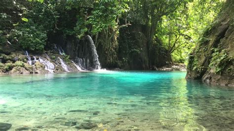 Amazing Nature Blue Water Pond In The Middle Of Jungle Forest Full Of
