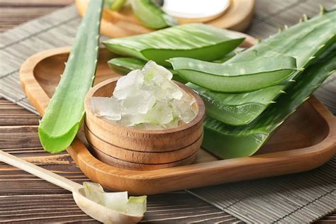 Mulakan dengan dos kecil bercampur air masak bagi membiasakan perut anda dengan khasiat aloe. Aloe Vera: 5 productos especiales para el cuidado de tu ...