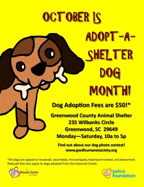 October Is Adopt A Shelter Dog Month The Humane Society Of Greenwood