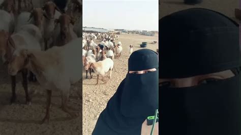 arab girl fun with goats youtube
