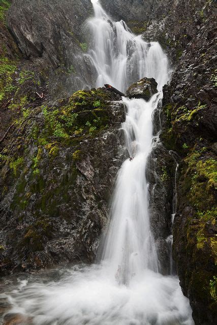 The hike begins in the olympic national forest on the dungeness river trail before departing up royal creek to the lake. Waterfall in Royal Basin of Olympic National Park ...