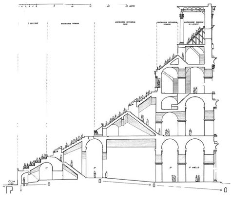 23c Romes Flavian Amphitheater In Cross Section The Six Basic