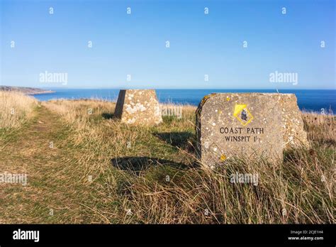 South West Coast Path Stone Way Marker At St Aldhelms Head Along The