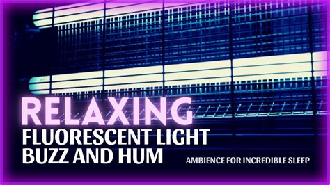 Buzz And Hum Of Fluorescent Lights Satisfying Asmr Sounds For Sleep