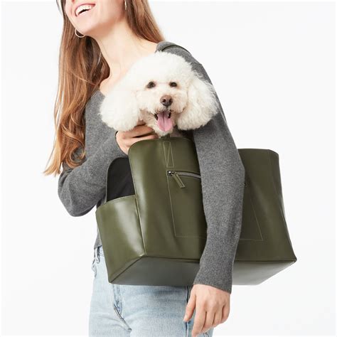 Morpilot's pet travel carrier bag is an affordable bag that's compliant with most major airlines and has extra features that make it great for traveling. Carrier | Pet carriers, Dog carrier, Dog milk