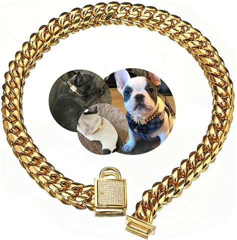 Gold Dog Collar