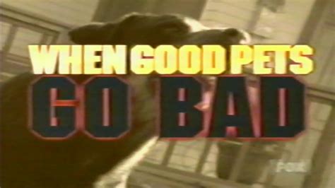 When Good Pets Go Bad 11121998 Youtube