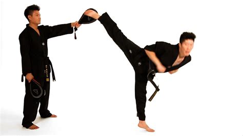 Different Types Of Martial Arts Kicks Gestuqz