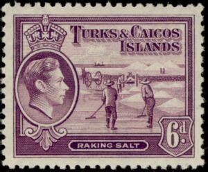Stamp Raking Salt Turks And Caicos Islands Issues Of Mi TC