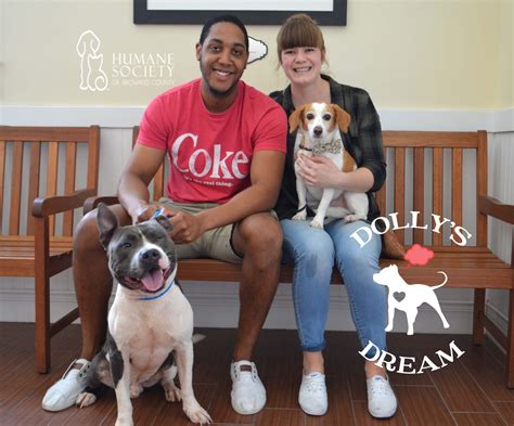 Meet #25, Diesel - Humane Society of Broward County