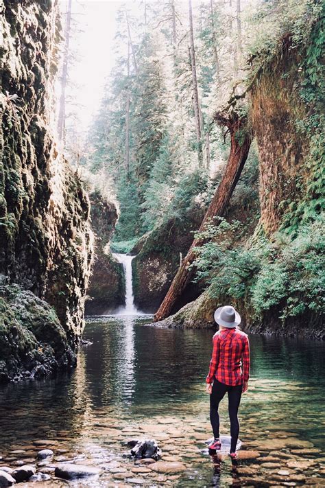10 Amazing Waterfall Hikes In Oregon Waterfall Hikes Oregon