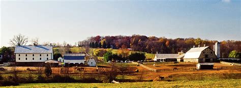 Bascule Farm Poolesville Maryland November 17 2001 Photograph By