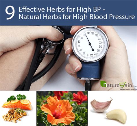 Natural Herbs For High Blood Pressure 9 Effective Herbs For High Bp