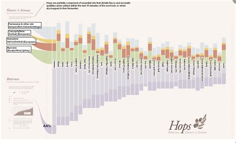 Hop Comparison Poster Cerveza