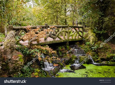 Beautiful Bridge Over Forest Stream Fitting Stock Photo