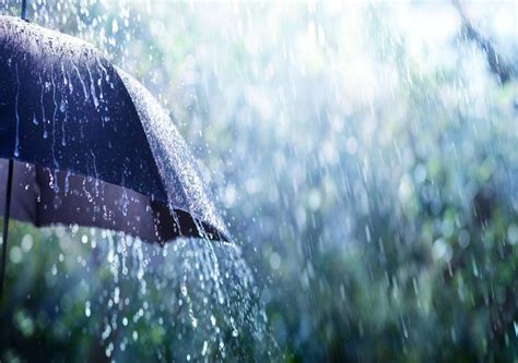 Cidade Que Mais Chove No Brasil