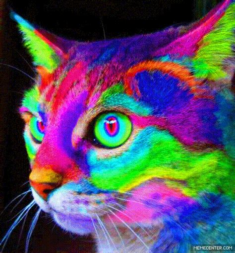 When The Catnip Kicks In Trippy Cat Cat Art Rainbow Cat